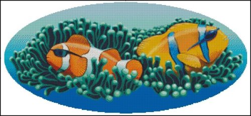 (image for) Clownfish
